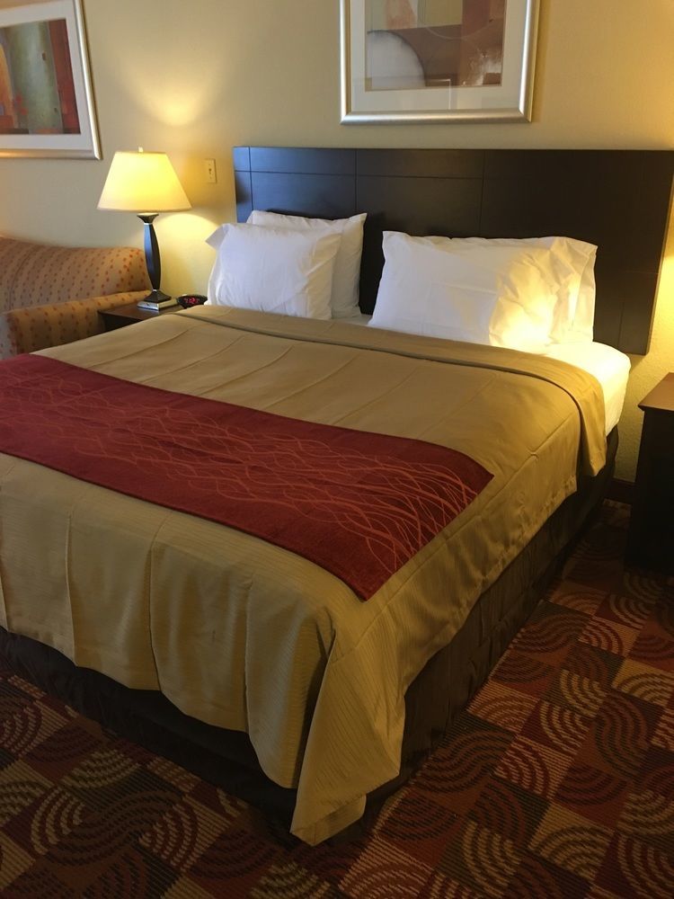 Comfort Inn & Suites Jasper Hwy 78 West Εξωτερικό φωτογραφία